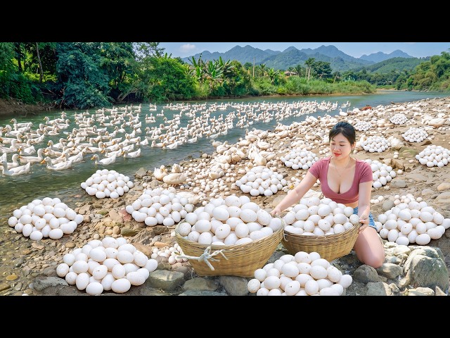 Harvesting Lots Of Ducks Egg from Ducks Farm Go To Sell At Country Market for Villager