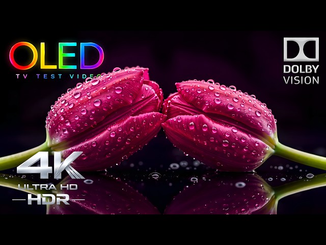 Your OLED Screen Is About to Come Alive | 4K HDR 60FPS Dolby Vision OLED Test (4K Video TV)