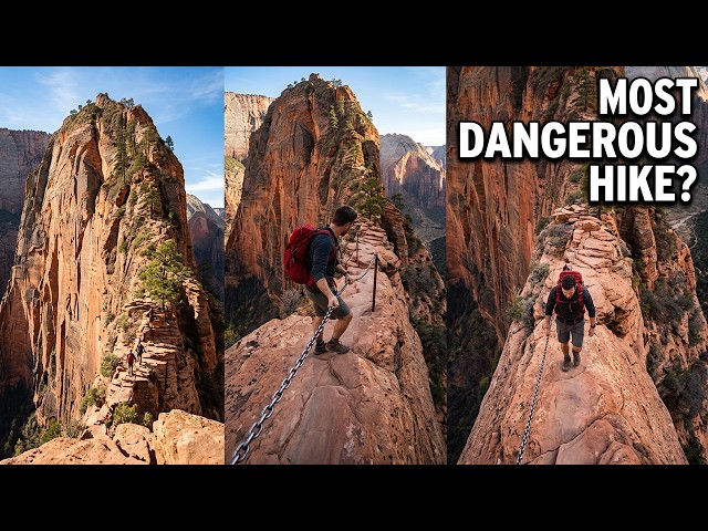Angels Landing: The Most Dangerous Hike in Zion National Park #angelslanding #zionnationalpark
