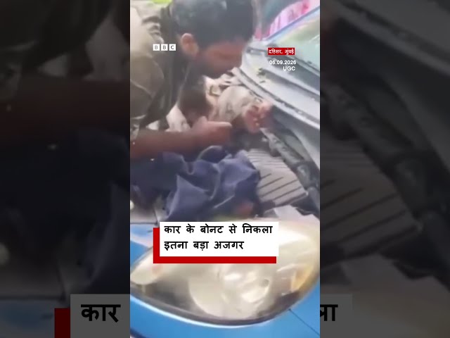 कार के बोनट में था अजगर, ऐसे निकाला गया (BBC Hindi) #india #snake
