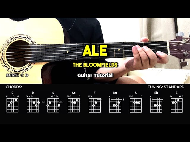 Ale - The Bloomfields | Easy Guitar Tutorial For Beginners (CHORDS & LYRICS) #guitarlesson