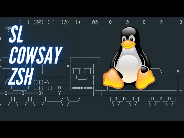 Install sl, cowsay and zsh on Linux | SiliconHybrid