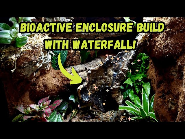 Bioactive Enclosure Build With Waterfall | Tutorial