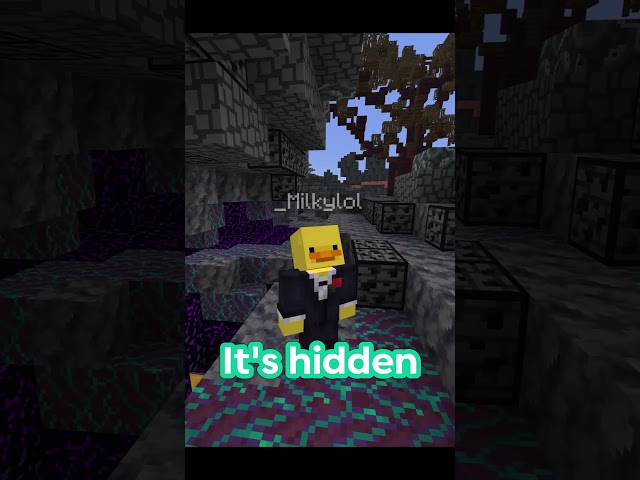 Go find that loot! IP! play.hyrise.fun   #lifstealsmp #minecraft #mcyt #hyrise
