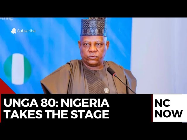 UNGA 80: VP Shettima Represents Nigeria, Speaks on Global Cooperation