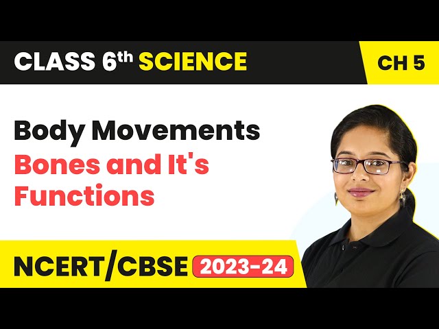 Bones and It's Functions - Body Movements | Class 6 Science Chapter 5