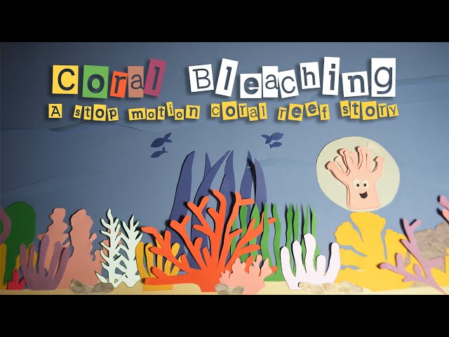 Coral Bleaching - a stop motion story about coral reefs