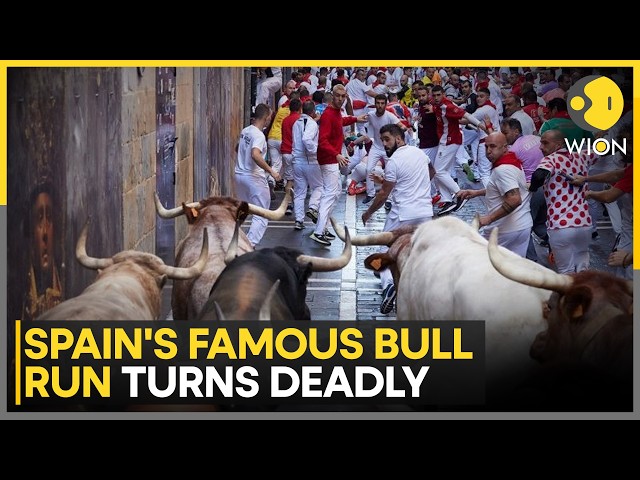 Spain Bull Run: Chaos in Spain as Pamplona Bull Run Leaves Many Injured | WION