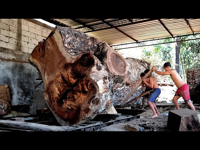 Billionaire buys up massive Trembesi logs‼️Sawn into world class solid planks I Sawmill