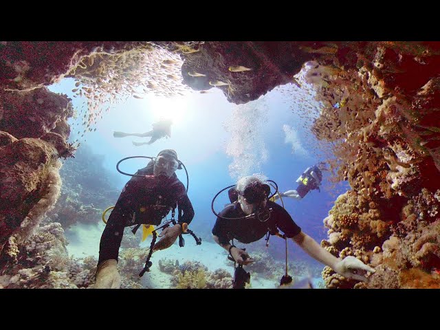 Bob Willis 360 Read Sea Test File