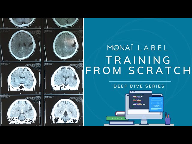 MONAI Label - Training from Scratch
