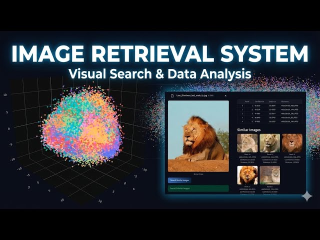 A complete demonstration of Image Retrieval System project.