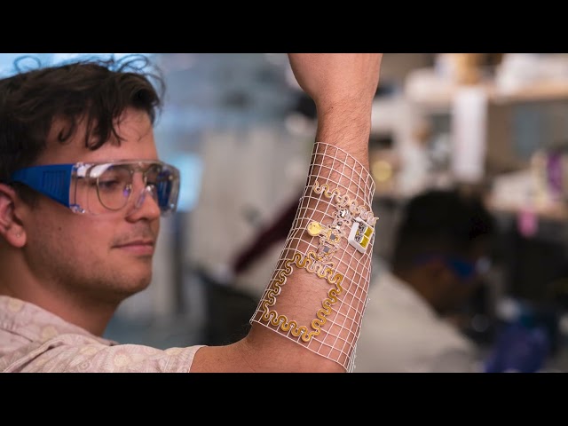 University of Arizona College of Engineering | Biomedical Engineering