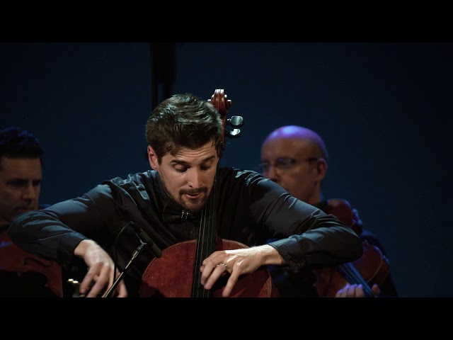 Vivaldi Winter (1st movement) - LUKA SULIC