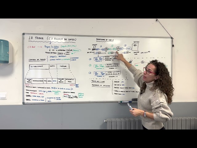 The data link layer frame