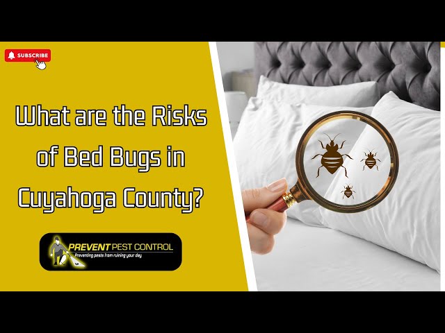 What are the Risks of Bed Bugs in Cuyahoga County?