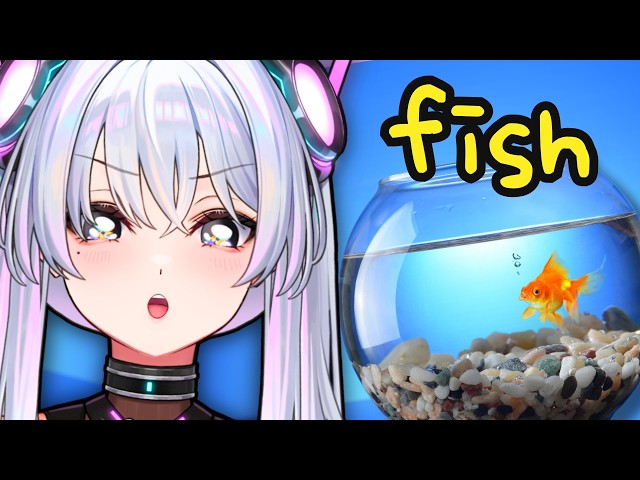 Chat helps me build a fishtank 🐟