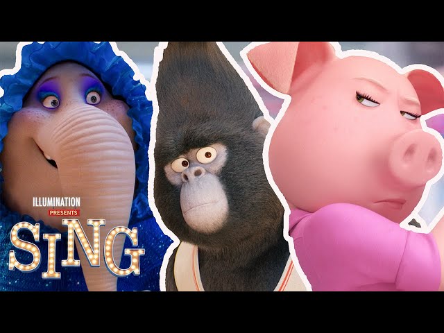 All of Johnny, Meena, and Rosita's Songs! 🎶 | Sing & Sing 2 | 30 MINUTES | Tiny Tunes