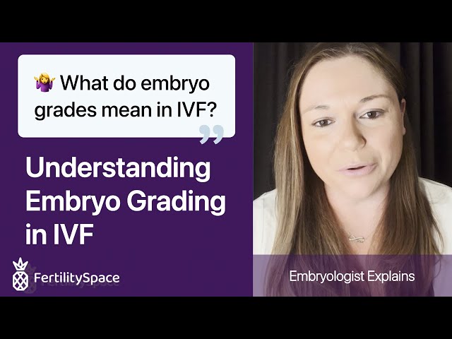 Embryo Grading in IVF Explained | What do embryo grades mean? | FertilitySpace
