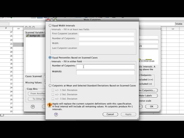 SPSS: Visual Binning