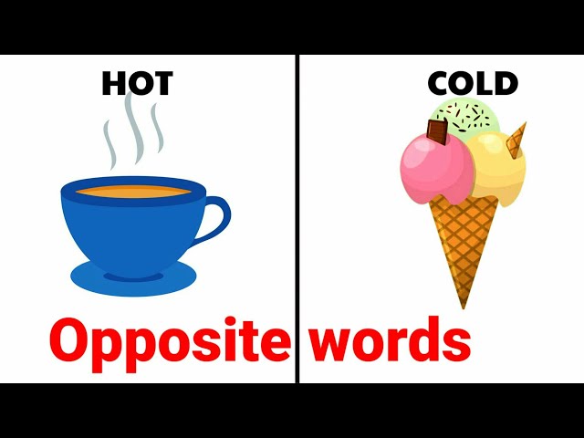 Opposite words in English | opposite words for preschoolers | Educational video | Antonym for kids