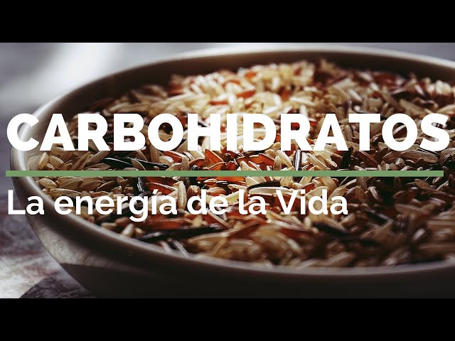 CARBOHIDRATOS ENERGÍA DE LA VIDA. Cocina macrobiótica