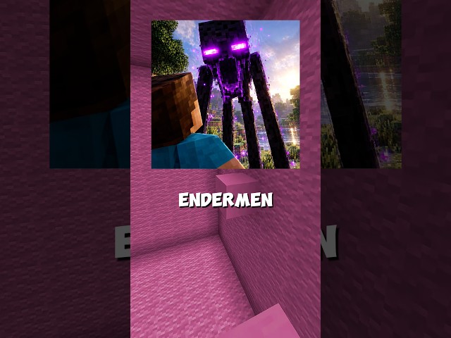 Why Do Endermen Attack When You Look at Them?… 👀