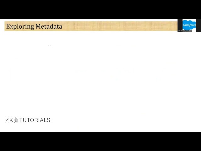 2_1_Understanding Salesforce Metadata & Developer Console | Salesforce Developer