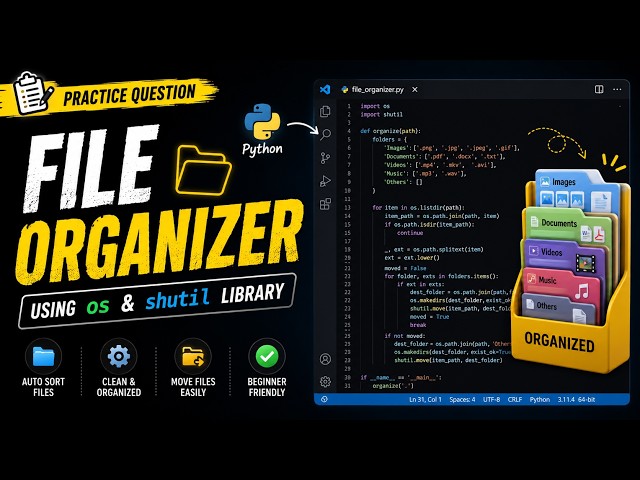 FILE ORGANIZER in Python | Practice Question