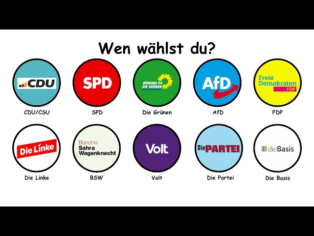 Alle Parteiprogramme zur Bundestagswahl 2025 erklärt! Welche Partei passt zu dir?