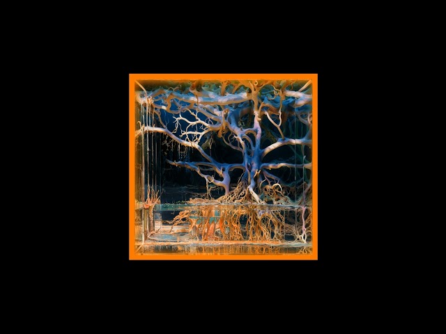 Batu - Meridian