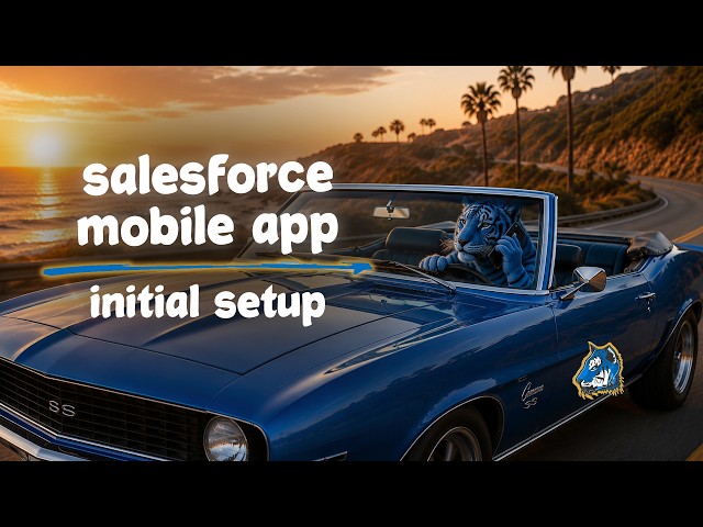 Salesforce Mobile App - Initial Setup & Configuration