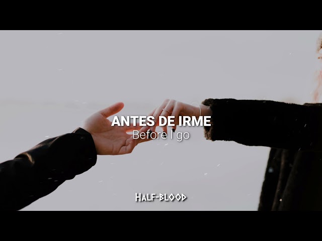 Shawn Mendes - Mutual | Lyrics, español