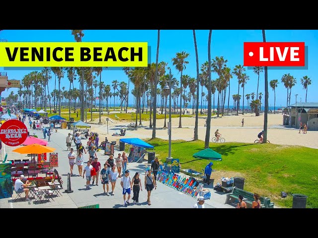 🔴 Los Angeles Live Cam · Venice Beach · Venice V Hotel · Live Camera Stream