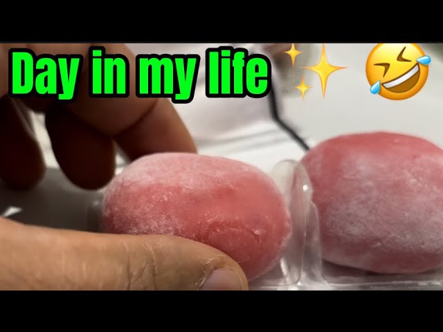 Taste like yogurt!! Day in My Life Vlog Work Lunch, Team Bonding & Mini Little moons🎄✨