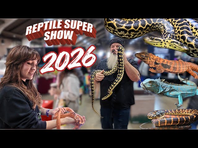 The 2026 Pomona Reptile Super Show Was Wild!