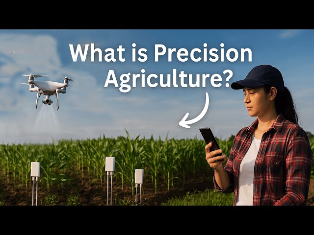 What is Precision Agriculture Farming? Modern Technology