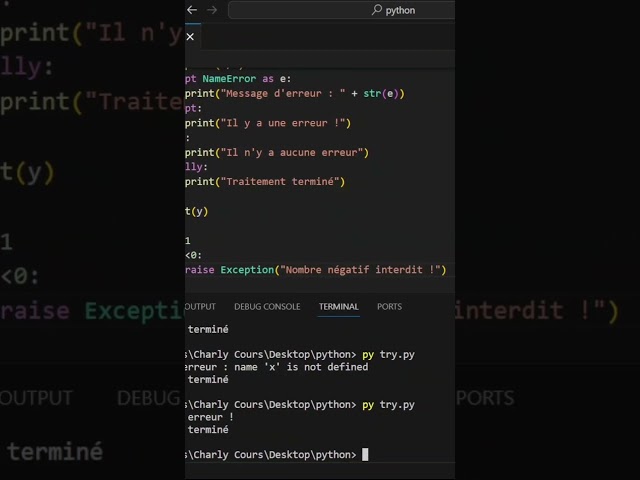 Tu Sais UTILISER RAISE en PYTHON ? #dev #coding #programming
