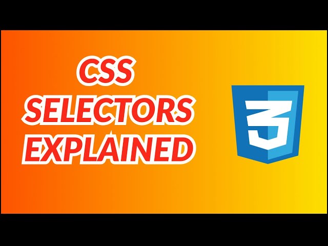 Selectors in CSS - [Every beginner should know this 5 css selectors]