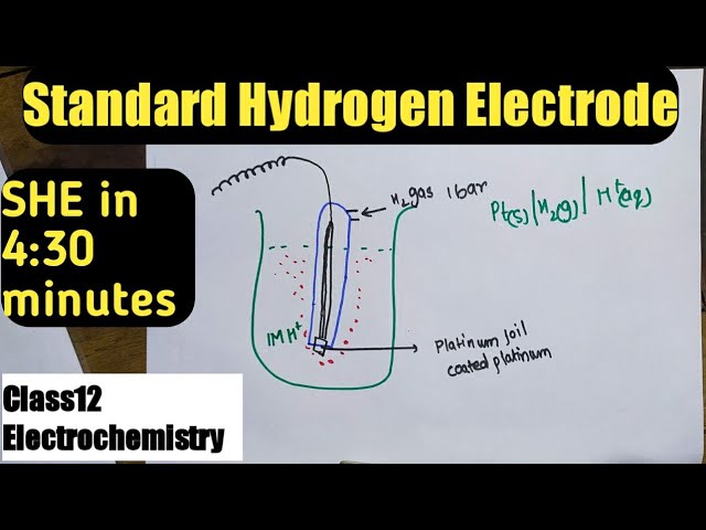 Class 12 Chemistry Chapter 3 | Standard Hydrogen Electrode (SHE): Explanation and Diagram