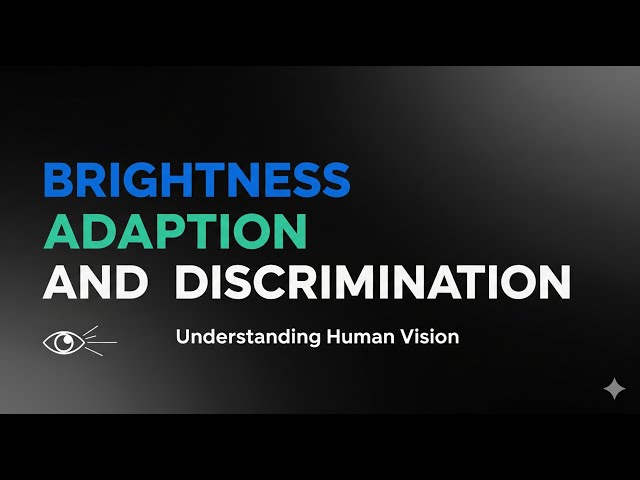 Brightness Adaptation and Discrimination in Digital Image Processing | Explained