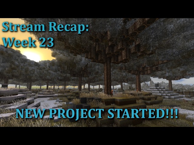 Week 23 Recap - Irridosa - New Project Started!!