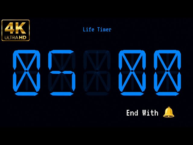 5 Minute Timer ⏳ 4K | Study • Work • Workout • Pomodoro | End with 🔔