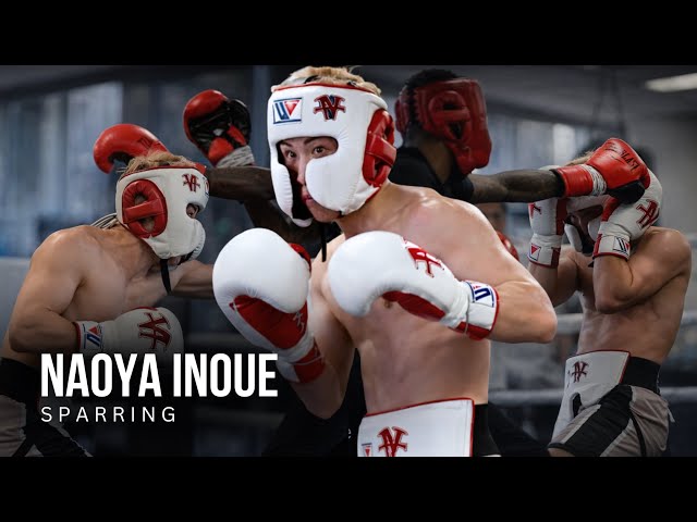 Naoya Inoue | Sparring