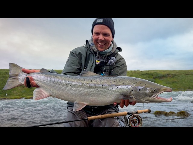 Salmon Fishing on River Blanda - Incredible 2026 Season