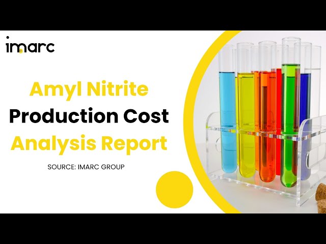 How to Start a Amyl Nitrite Production Plant: Project Cost Analysis