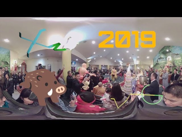 [360 VR] Happy Lunar New Year of the Earth Pig! [VR 360]