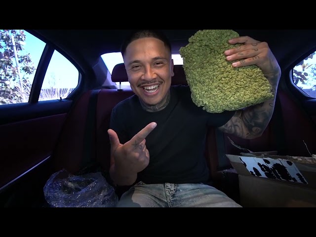 How I got rich TRAPPING