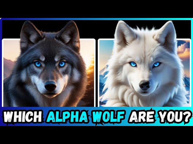 🐺 Discover Your Inner ALPHA WOLF!😍✅ Exciting Adventure Personality Test
