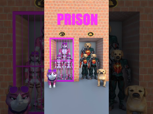 PINK CAT VS BINARY DOG.GUESS WHO WILL GET OUT OF JAIL?#dog #cat #funny #shots
